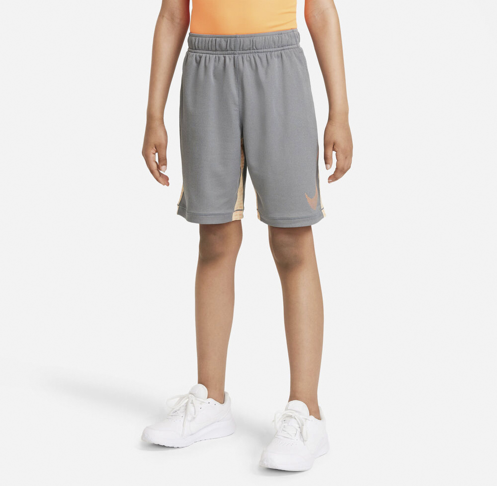Dri Fit Shorts