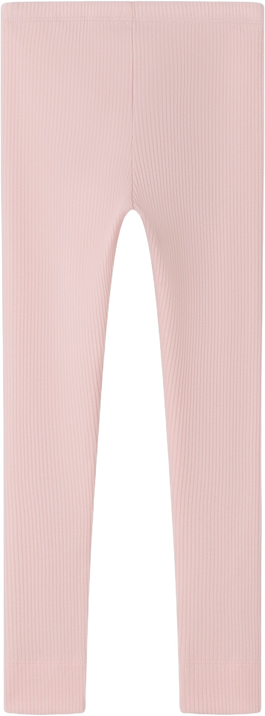 Leg