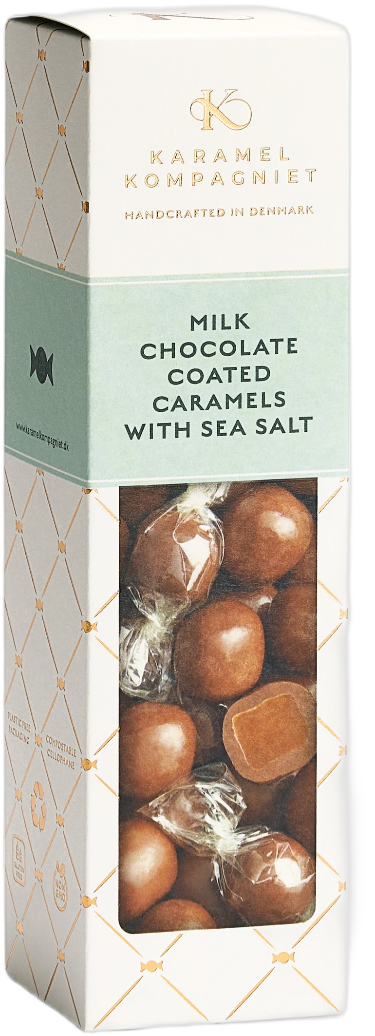 Chocolate Coated Salty Caramel Elegance