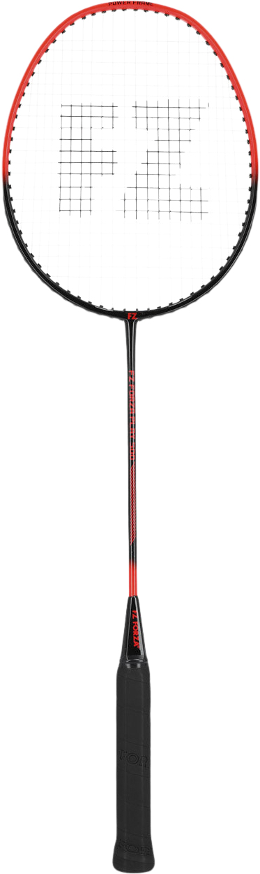 Play 500 Badmintonketcher