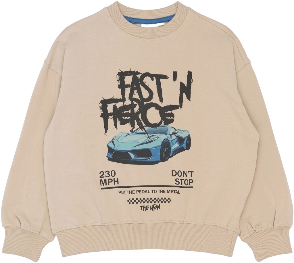 Tnsteen Sweatshirt
