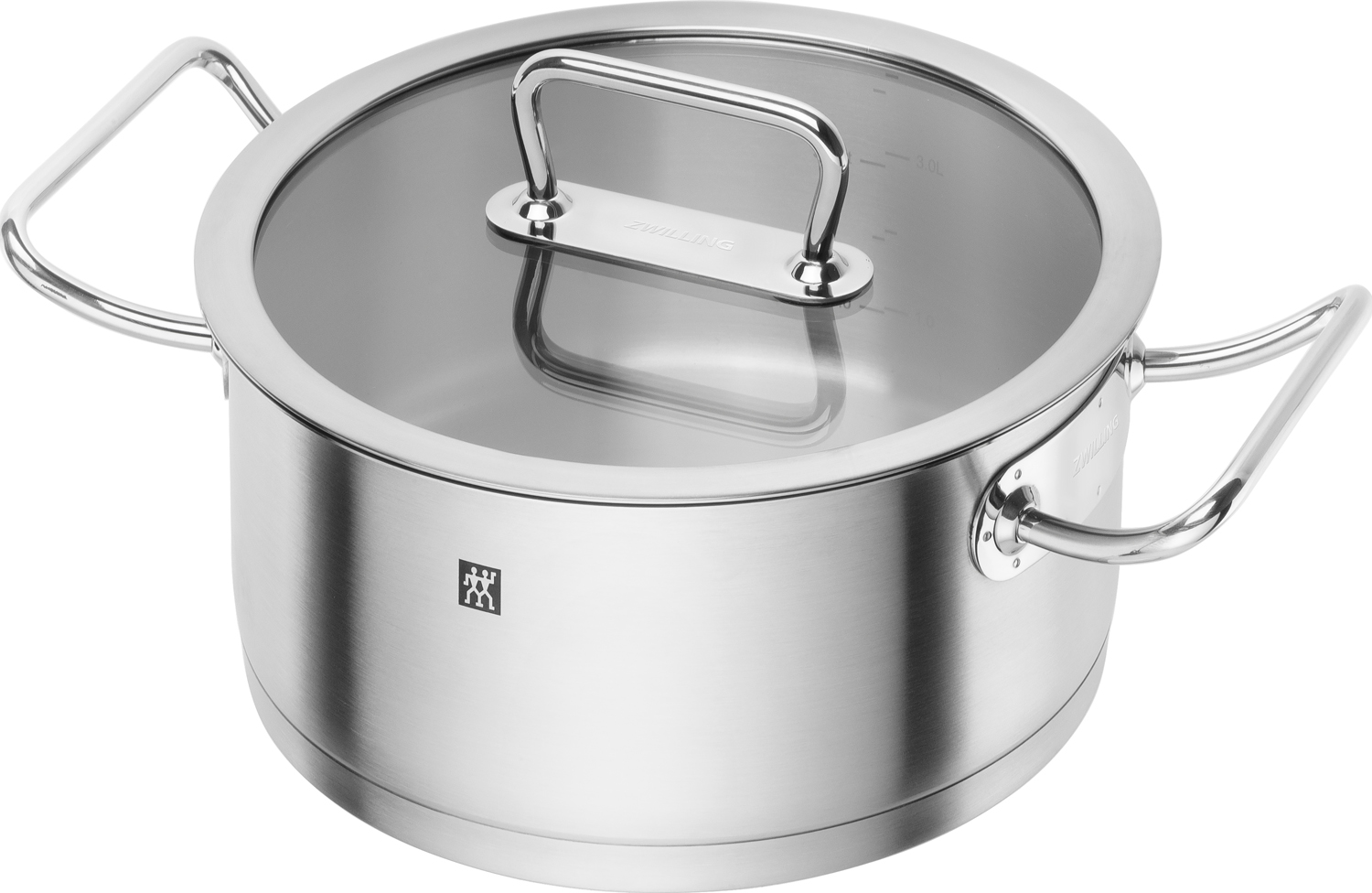 Pro Gryde 24 cm, 4,5 L
