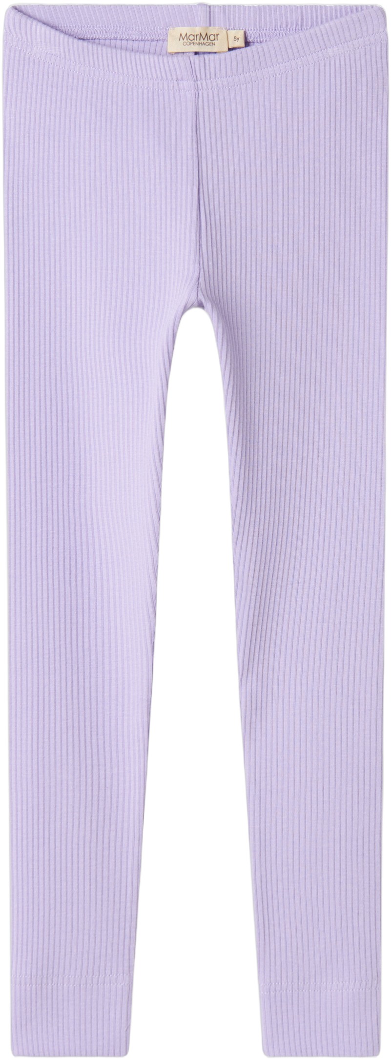 Leg