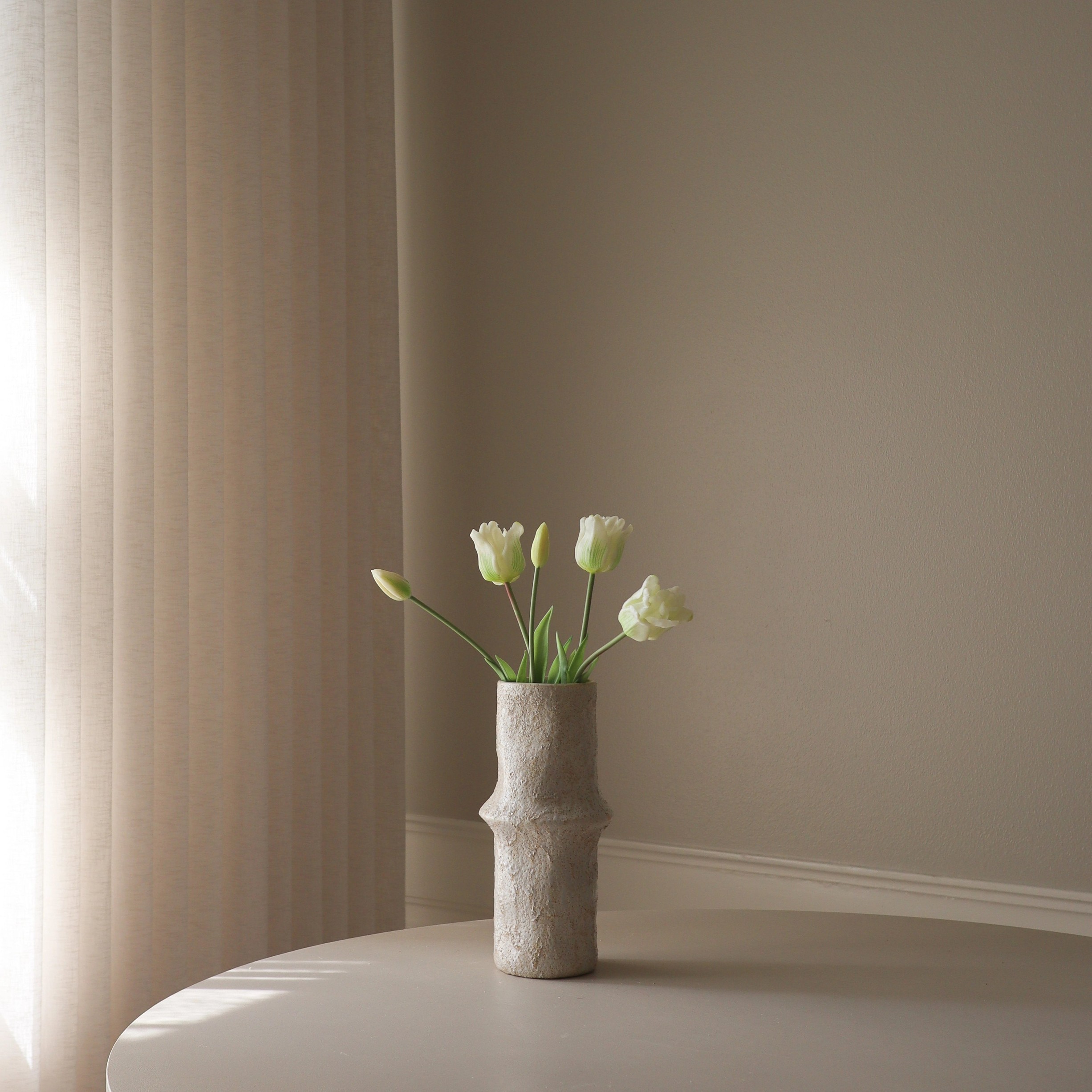 Triumph Tulip Bundle White